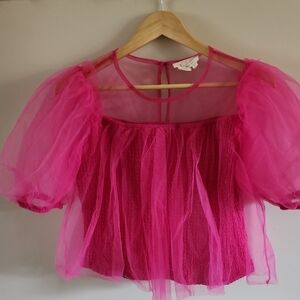 Anthropologie Pink Sheer Top